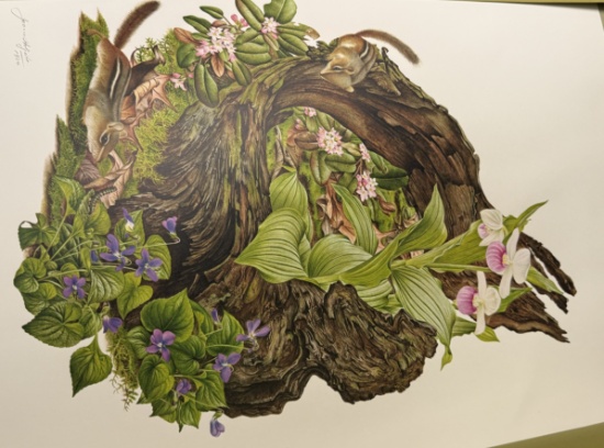 Lot Jean Holgate Flowers of America Prints