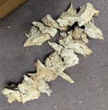 Misc driftwood