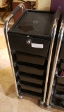 Mobile stylist cabinet