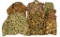 VINTAGE HUNTING - MILITARY BEO GAM CAMO UNIFORMS