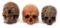 DAYAK CARVED TROPHY SKULL MODEL LOT OF 3