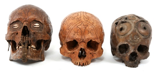 DAYAK CARVED TROPHY SKULL MODEL LOT OF 3