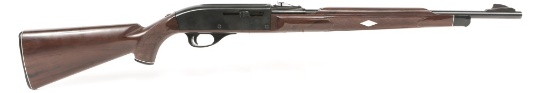 REMINGTON MODEL NYLON 66 .22 LR CALIBER RIFLE