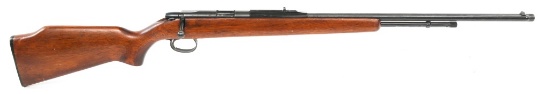 REMINGTON MODEL 582 .22 S-L-LR CALIBER RIFLE