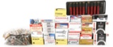 HANDGUN, RIFLE AND SHOTGUN AMMUNITION LOT