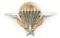 POST WWII FRENCH PARATROOPER WINGS NUMBERED BADGE