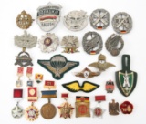 WORLD MILITARY BADGES & INSIGNIA LOT OF 29