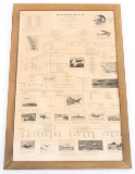 US MARINE CORPS AVIATION CHART 1912 -1962 POSTER