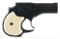 HI STANDARD MODEL D-100 .22 LR CALIBER DERRINGER