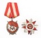 WWII SOVIET UNION RED BANNER / PATRIOTIC MEDALS