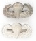 WWII US PARATROOPER BRITISH MADE JUMP WINGS