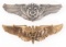 WWII US AAF FLIGHT SURGEON QUALIFICATION WINGS