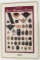 US ARMY MEDICAL ENLISTED RANK INSIGNIA POSTER
