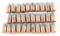 AMMUNITION .41 CALIBER SHORT RIMFIRE - 31 ROUNDS
