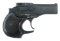 HIGH STANDARD MODEL D-100 .22 LR CAL DERRINGER