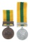BRITISH NORTH BORNEO COMPANY SPECIMEN COPY MEDALS