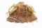 VIETNAM WAR NVA PITH HELMET WITH NETTING