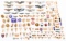 WWII - COLD WAR US & EUROPEAN MILITARY INSIGNIA