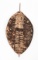 19th C. AFRICAN ZULU TRIBE REGIMENTAL SHIELD