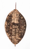 19th C. AFRICAN ZULU TRIBE REGIMENTAL SHIELD