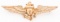 WWII USN AERIAL PHOTOGRAPHER WINGS by FISCHER