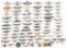 COLD WAR - CURRENT US ARMED FORCES AVIATION WINGS