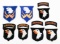 WWII - POST WAR US 101st AIRBORNE DIVISION PATCHES
