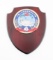 CHINESE PLA NAVY AIRCRAFT CARRIER LIAONING PLAQUE