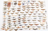 US CIVILIAN WING BADGES