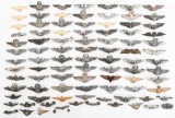 COLD WAR US ARMED FORCES WINGS