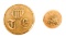 PRE CIVIL WAR US TOPOGRAPHICAL ENGINEER BUTTONS