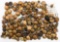 CIVIL WAR - INDIAN WARS US ARMY & STATE BUTTONS
