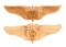 WWII USAAF FLIGHT SURGEON GILT QUALIFICATION WINGS