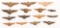 WWII - COLD WAR USN MINIATURE QUALIFICATION WINGS