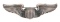 WWII US ALBERT F. HEGENBERGER PRESENTATION WINGS
