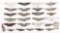 US ARMED FORCES WINGS