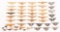 US ARMED FORCES QUALIFICATION WINGS