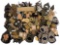 WWII USMC & ARMY RANK & UNIFORM PATCHES