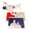 WWII IJN SABURO SAKAI MODEL PLANE, FLAG, & PHOTO