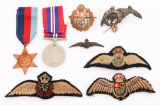 WWI - WWII BRITISH & WORLD MILITARY PILOT WINGS