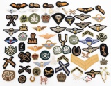 20th C. FRENCH & RHODESIAN JUMP WINGS & INSIGNIA