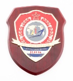 CHINESE PLA NAVY DESTROYER XINING 117 PLAQUE