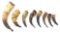 19th - 20th CENTURY AMERICAN POWDER HORNS