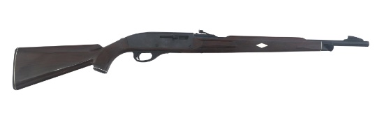 REMINGTON MODEL NYLON 66 .22LR CALIBER RIFLE