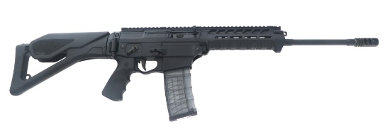 SIG SAUER MODEL 556XL SEMI AUTOMATIC RIFLE