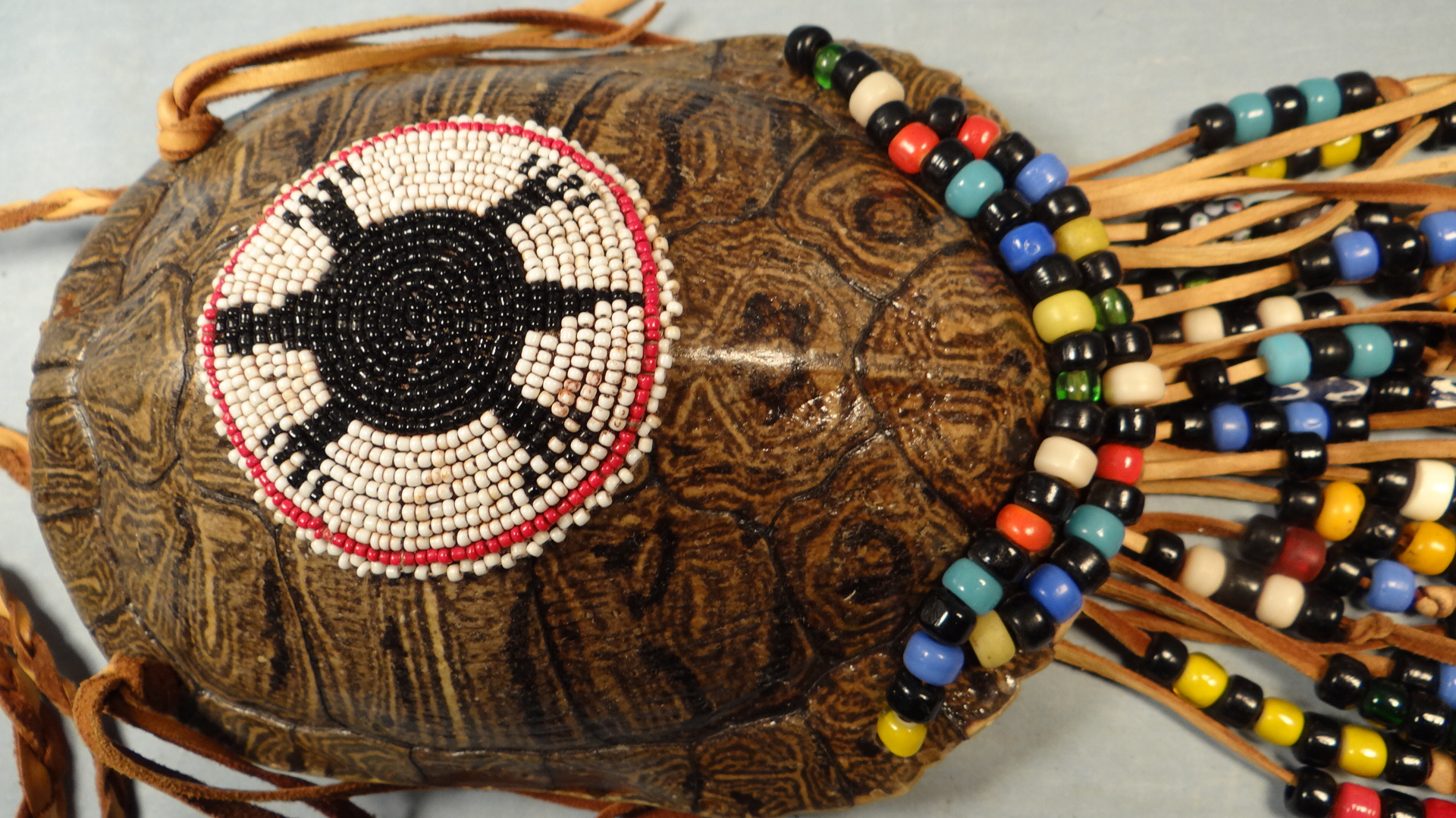 Native American turtle shell neck bag purse possibles mountain man regalia  | Turtle shell, Purses and bags, Turtle crafts