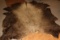 Buffalo rug, Fort Peck, MT ranch, 68
