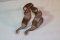 Ricky Trammell, Graham, TX. Iron spurs, highly collectible