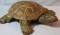 Iron turtle spittoon cover, mechanical and porcelain spittoon