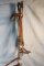 Kelly silver mtd curb bit in headstall and fancy silver mtd bit in headstal